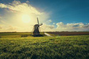 Foto door Tom Swinnen via Pexels fsom magazine kwaad bloed