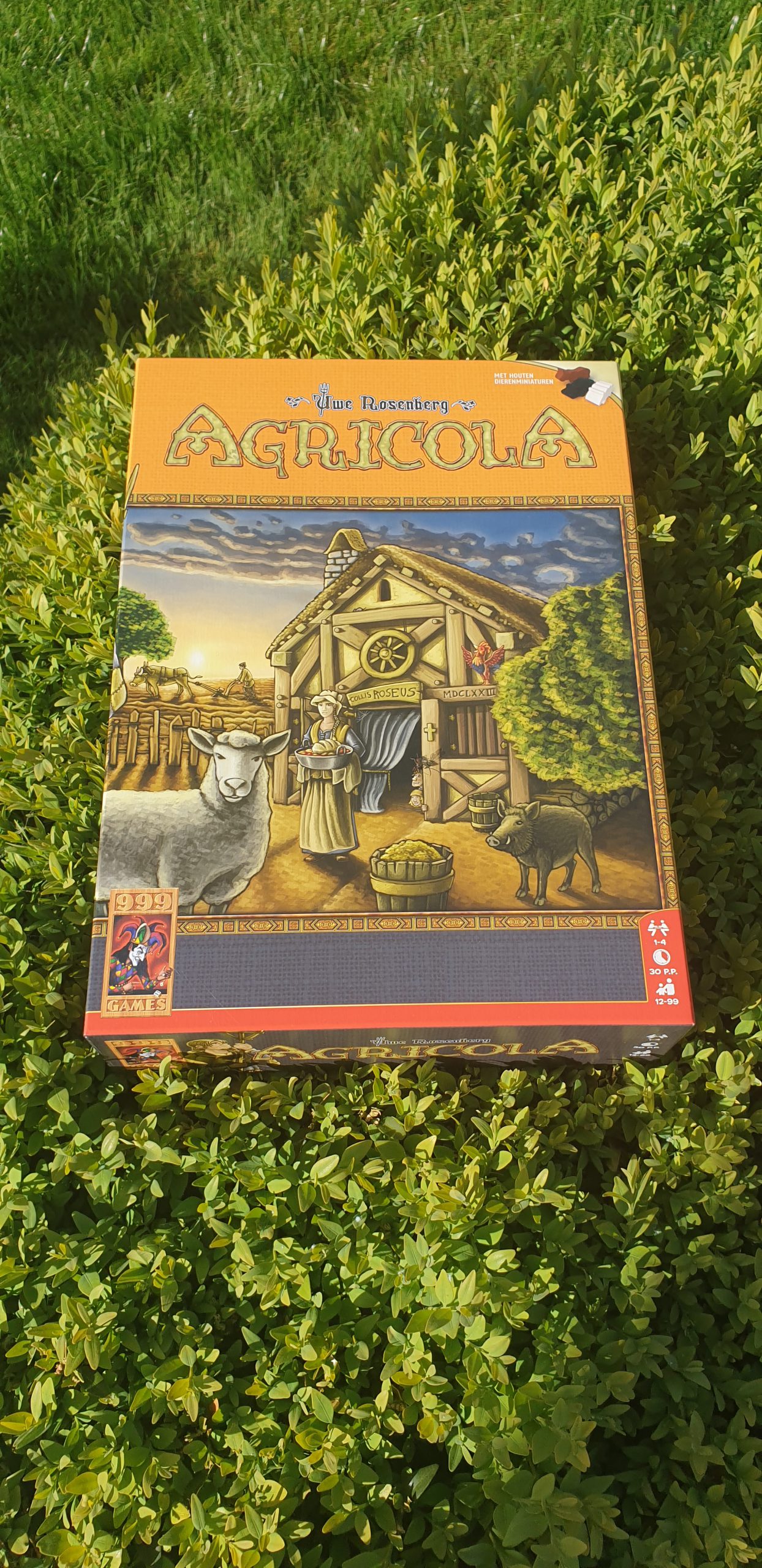 Gezamelijk bordspellen spelen met vrienden? Dat kan!