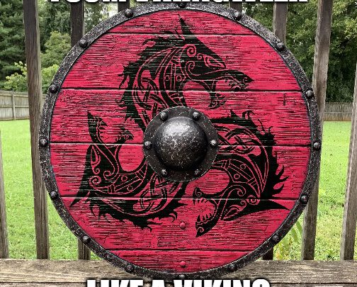 Like a Viking – Vikingweek bij FSOM!