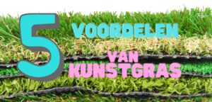 vijf voordelen van kunstgras