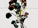 Shinedown EI8HT Album
